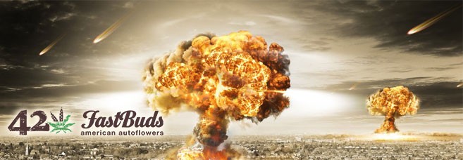 Самые мощные автоцветы Fastbuds 5 мощных автоцветов от FastBuds