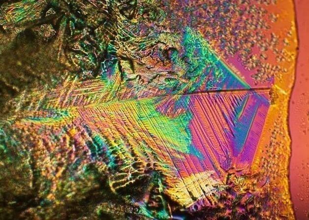 Питатьленые вещества Питательные вещества при гидропонном выращивании