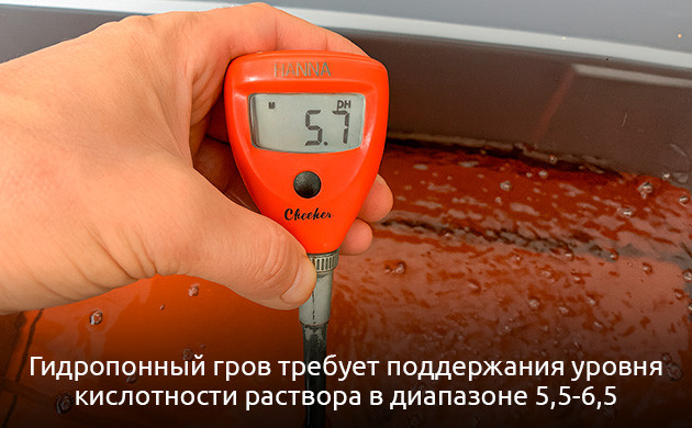 Оптимыльный pH для выращивания на гидропонике pH при выращивании конопли на гидропонике