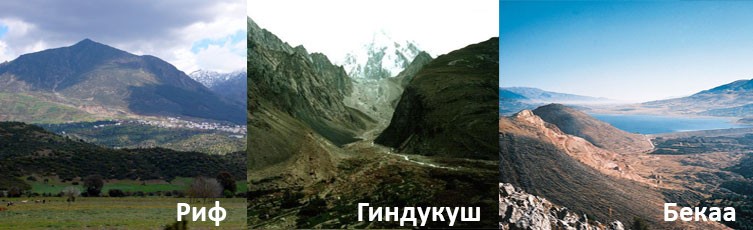 Регионы, где растет конопля Регионы с разной высотностью, где растет конопля