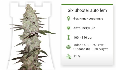 Сорт марихуаны Six Shooter auto Six Shooter auto fem (FastBuds)