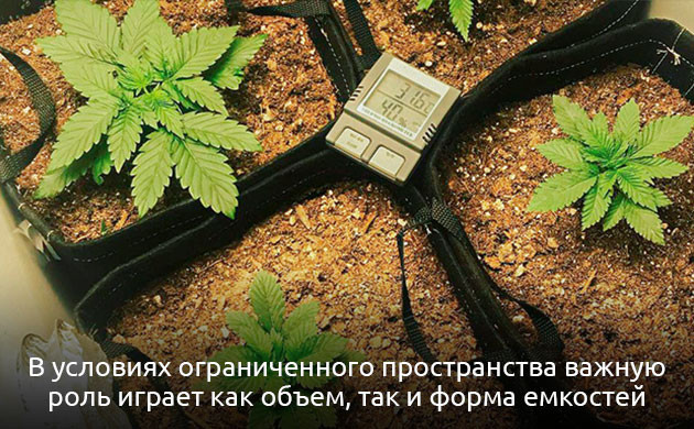 Как выбрать объем горшка Объем горшков