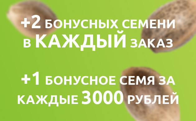 Бонусные правила на Семяныче Бонусные семена