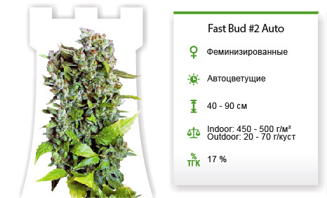 Сорт марихуаны Fast Bud #2 Auto Fast Bud #2 Auto от Sweet Seeds
