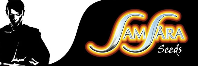 У нас снова пополнение! Семена от Samasara Seeds У нас снова пополнение! Семена от Samasara Seeds