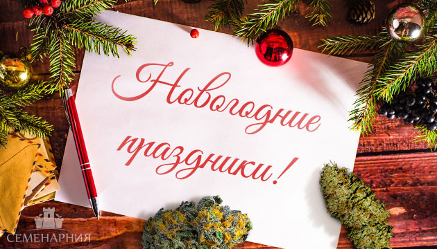 График работы в праздничные дни Новогодние праздники