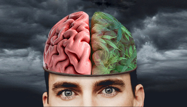 Психологическая зависимость от марихуаны Психологическое влияние конопли