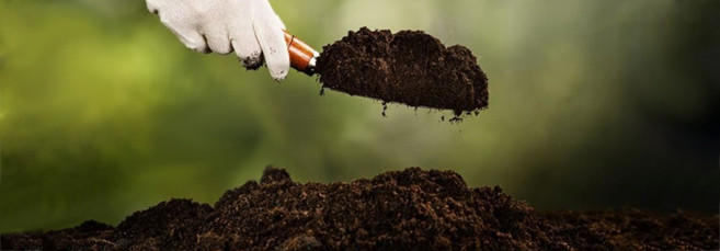 Почва для выращивания марихуаны Почва для аутора