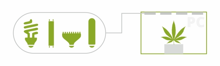 Освещение при микрогровинге Освещение при микрогровинге
