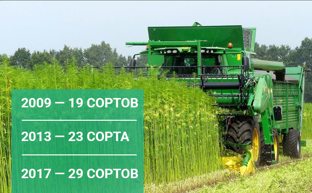 Выведение сортов технической конопли К 2017 году появилось 29 сортов технической конопли