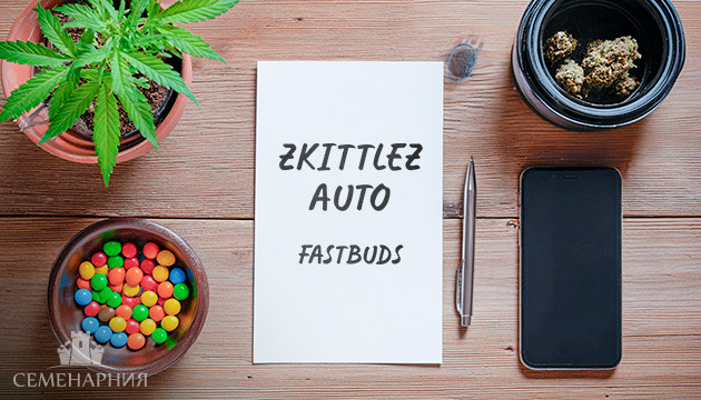 Выращивание сорта марихуаны Zkittlez Auto в индоре Гроурепорт сорта Zkittlez Auto