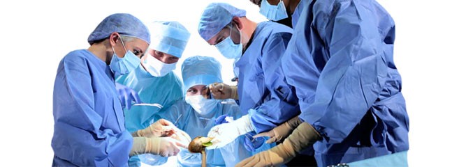 Помогаем семенам сбрасывать сбросить каску Семена не сбрасывают каску что делать