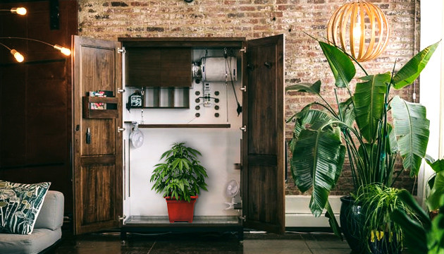 Замаскировать гроубокс Спрятать гроубокс