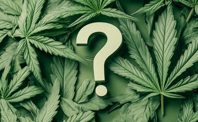 Ответы на популярные вопросы