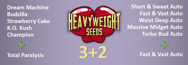 Акция 3+2 от Heavyweight Seeds Акция от сидбанка Heavyweight Seeds 3+2