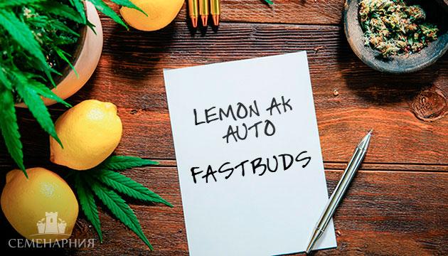 Гроурепорт сорта Lemon AK Auto