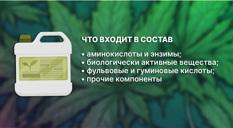 Стимуляторы конопли и их состав Состав стимуляторов конопли