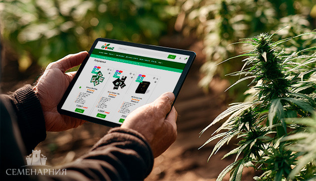 Интернет-магазин семян конопли GroverZ: ассортимент и возможности Магазин семян GroverZ