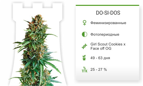 DO-SI-DOS от Cali Buds Seeds