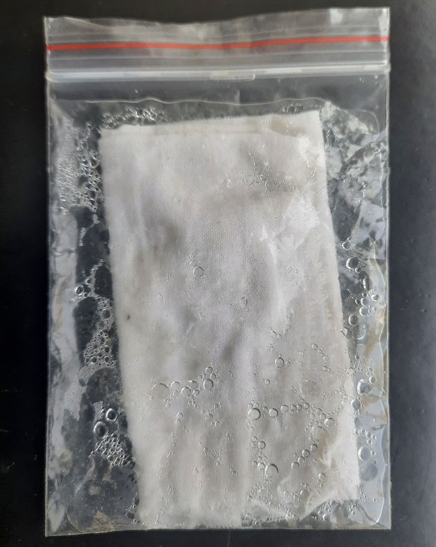 Метод проращивания конопли Проращивание