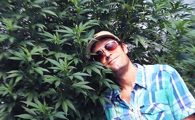 Доктору Джойнту Доктору Джойнту и кусты конопли