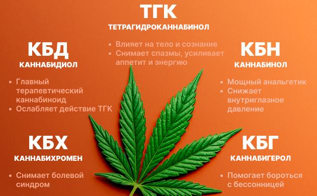 Терапевтический эффект каннабиноидов Почему марихуана лечит