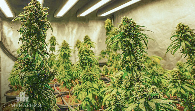 Метод SOG Sea Of Green