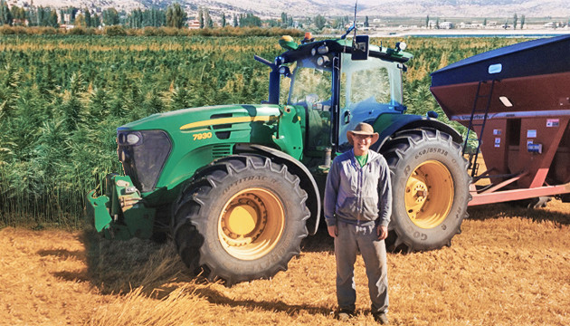 Применение технической конопли Техническая конопля