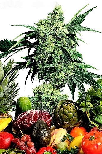 конопля и фрукты