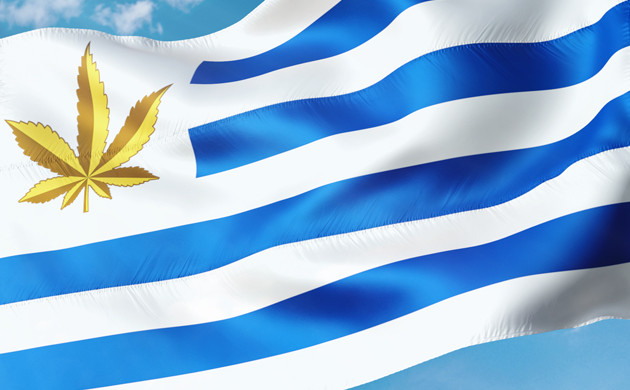 Марихуана в Уругвае Флаг Уругвая