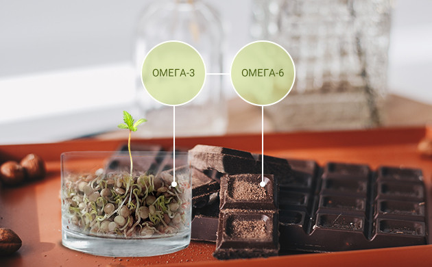 Горький шоколад с зернами конопли Омега 3 и омега 6 в семенах конопли