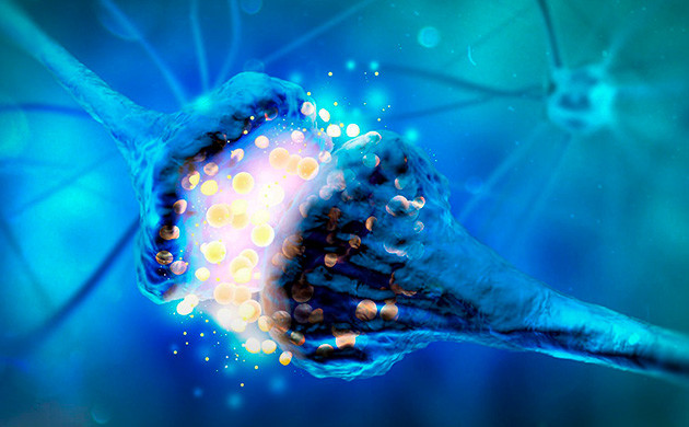 Эндоканнабиноидная система: научные исследования влияния марихуаны на память Влияние конопли на память