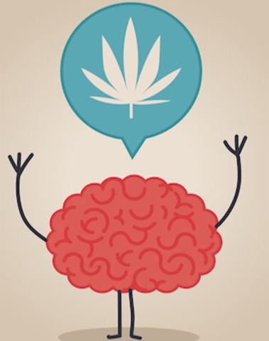 Мозг и конопля