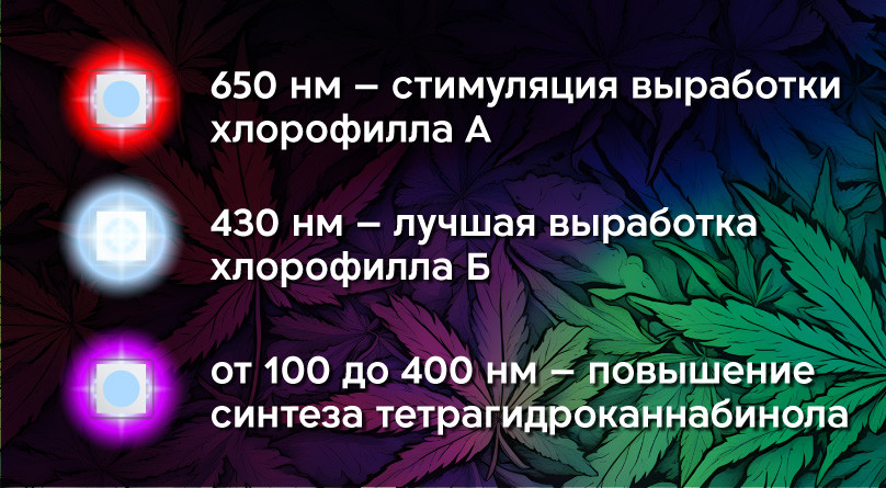 Принцип работы светодиодных светильников Спектры LED светильников