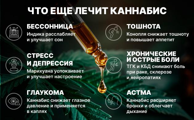 Полезные свойства конопли Что еще лечит каннабис