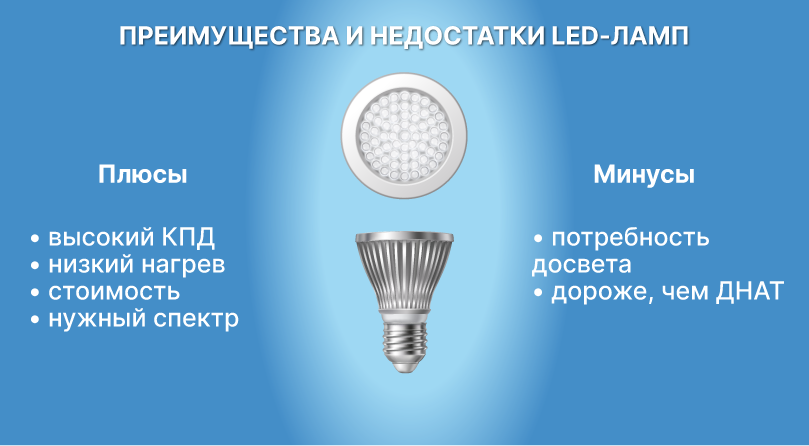 Плюсы и минусы LED ламп