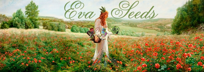 Новый банк Eva Seeds в обойме «Семенарнии»!