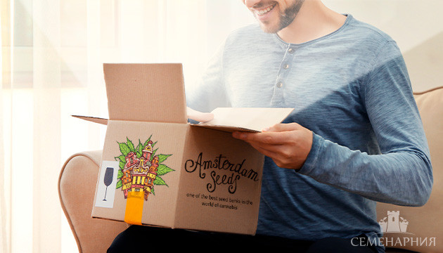 Новый биридер Amsterdam Seeds Новые семена от нового сидбанка – Amsterdam Seeds