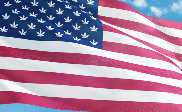 Легализация марихуаны в США Флаг США