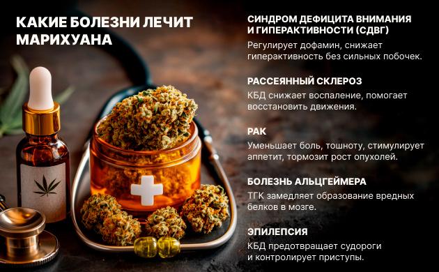 Использование конопли при лечении болезней Какие болезни лечит конопля