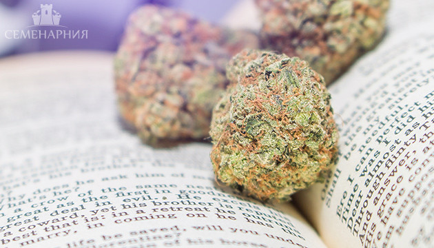 Книги о конопле Шишки и гника