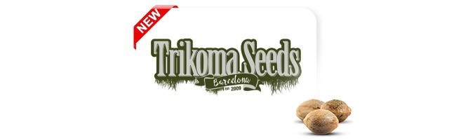 Новый сидбанк Trikoma Seeds Новый банк Trikoma Seeds