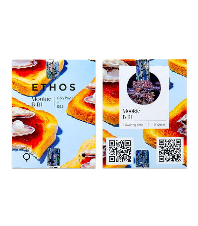 Сорт Mookie B R1 fem (Ethos Genetics)