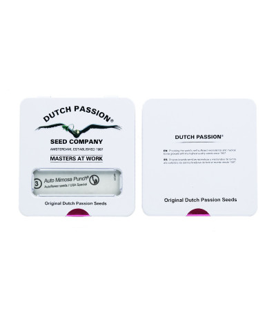 Сорт Auto Mimosa Punch fem (Dutch Passion)