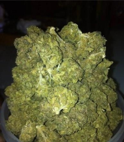 Сорт Blue Cheese fem (Royal Queen Seeds)