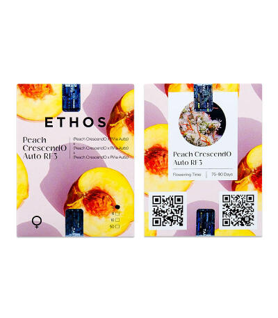 Сорт Peach Crescendo Auto RF3 fem (Ethos Genetics)
