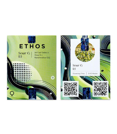 Сорт Sour G R1 fem (Ethos Genetics)