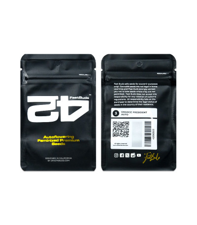 Сорт Orange President Auto fem (FastBuds)