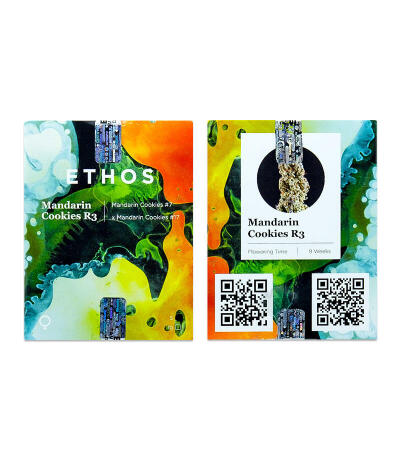 Сорт Mandarin Cookies R3 fem (Ethos Genetics)