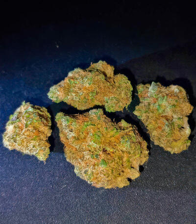 Сорт Insane OG Strain